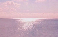 七夕关于单身狗发的说说 七夕单身狗专属心情说说伤感大全