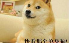对友人祝福的诗句古诗 朋友共患难的诗句