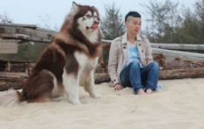三月朋友圈说说早安句子 三月希望带来好运的说说句子