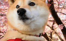 劳动节发说说