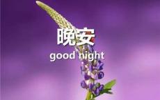 七夕朋友圈文案搞笑 七夕发什么说说好