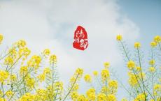 3.7女生节祝福语500字 写给女生节的贺卡祝福语