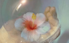 收到女生节祝福怎么回复