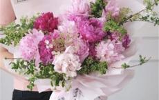 惊蛰节气朋友圈祝福文案 惊蛰日怎样转送祝福