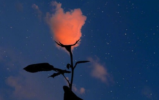 女生节怎么微信送祝福