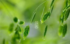 春分节气送祝福的说说大全2022