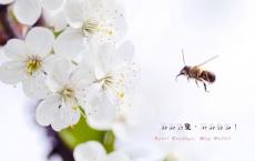 小年发朋友圈唯美说说