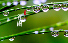 七夕情人节说说心情短语