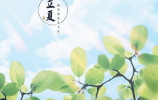 2022情人节表白说说大全