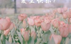 不过七夕的句子