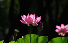 三月朋友圈 告别2月迎接3月心情说说
