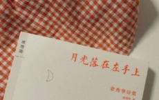 坐飞机回家的朋友圈文案 关于第一次坐飞机的简短说说