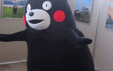八月说说心情短语 八月你好发朋友圈早安说说大全