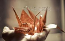 迎接六月的第一天文案