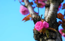 2022儿童节个性祝福语