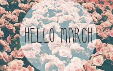 翠华摇摇行复止，西出都门百余里全诗的意思_上句下句