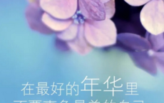越鸟巢干后，归飞体更轻全诗的意思_上句下句