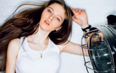 百亩庭中半是苔，桃花净尽菜花开全诗的意思_上句下句