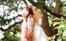 离离原上草，一岁一枯荣全诗的意思_上句下句