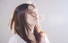 望见葳蕤举翠华，试开金屋扫庭花全诗的意思_上句下句