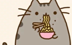 明朝风起应吹尽，夜惜衰红把火看全诗的意思_上句下句