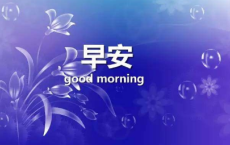 为有云屏无限娇，凤城寒尽怕春宵全诗的意思_上句下句