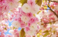 防溺水安全短句