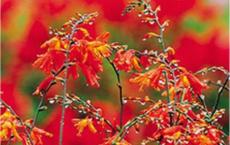 口号大全霸气十足