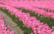 同学聚会策划方案