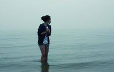 小学教导处工作计划