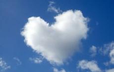 中班科学活动教案