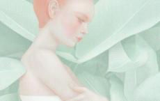 除四害工作计划