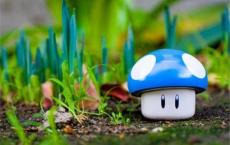 小小班音乐教案