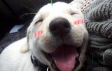 幼儿园保健知识内容