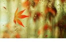 健康教育教学计划