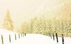 高中学生评语大全