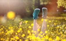 师德表现自我评价