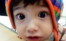 青山不老教学反思