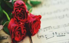 小学数学听课记录