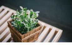 看云识天气教案