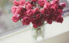 市场部工作计划