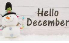 幼儿园元旦节活动方案