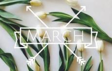 实习班主任工作计划