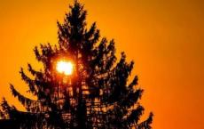 心理健康教育工作计划