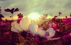 爱国教育主题班会