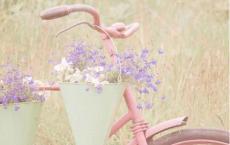 四年级体育教学计划