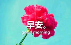 学困生辅导记录