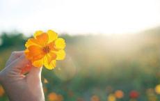 校园活动策划案