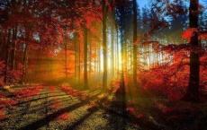 大型活动策划方案