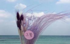 安全教育主题班会